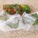 Foodsaver Rotoli 28x550 cm termosigillabili
