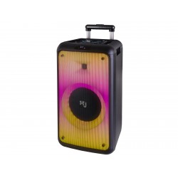 X JUMP ALTOPARLANTE AMPLIFICATO 180W WIRELESS TWS USB AUX-IN 12V XJ 5000