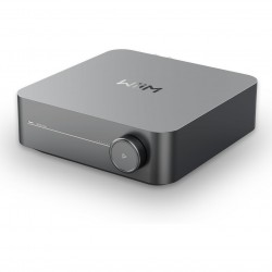 Wiim AMP