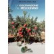 La Coltivazione Del Melograno