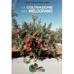 La Coltivazione Del Melograno